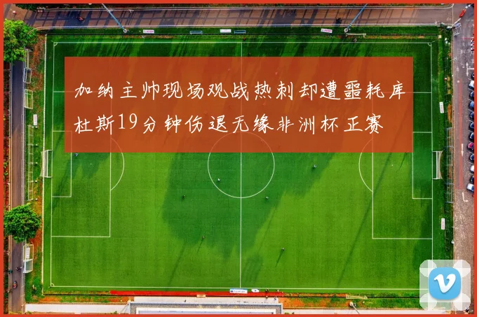 加纳主帅现场观战热刺却遭噩耗库杜斯19分钟伤退无缘非洲杯正赛